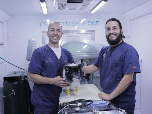 CT Scans performed on location through Mobile Pet Imaging