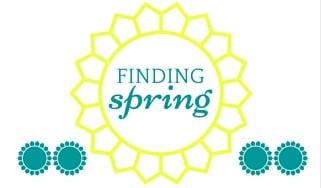 Offering professional coaching services to women navigating their lives after divorce. Let's find your Spring!