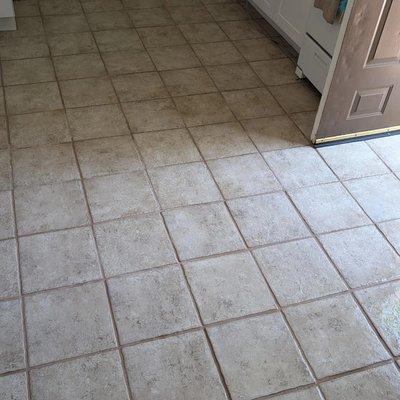 Before (Tile & Grout Cleaning)