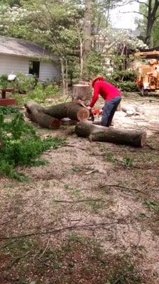 Tree work being done in vienna virginia