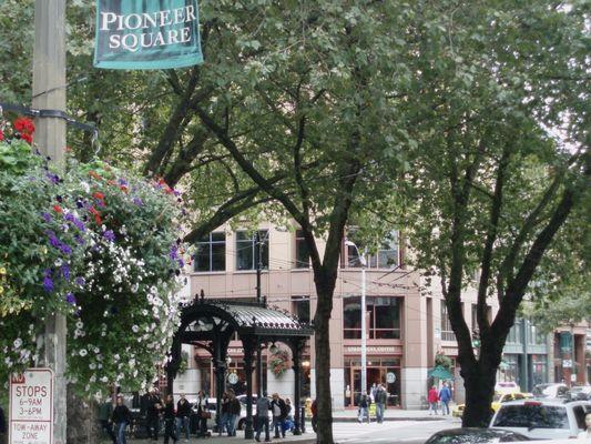 Pioneer Square Pergola