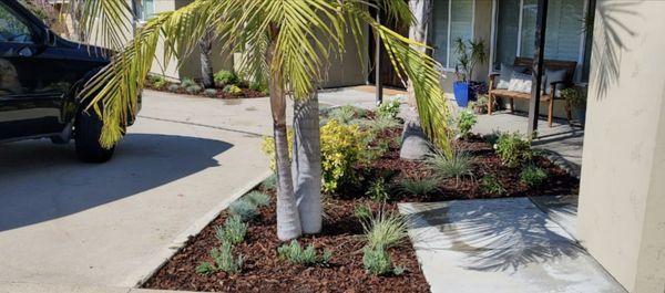 Beautifully designed landscaping in El Cajon