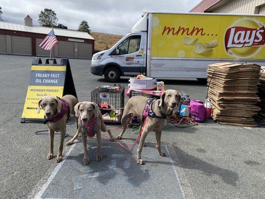 McKenzee, Jade, Meadow & Sean (in the crate!).