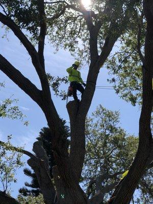 Crane removal