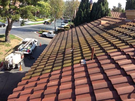 Steam roof cleaning.