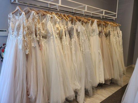 A variety of white, ivory, and blush colored dresses - 5/2022