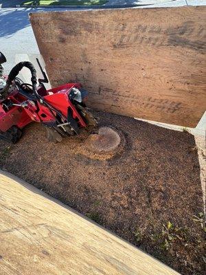 Stump Grinding