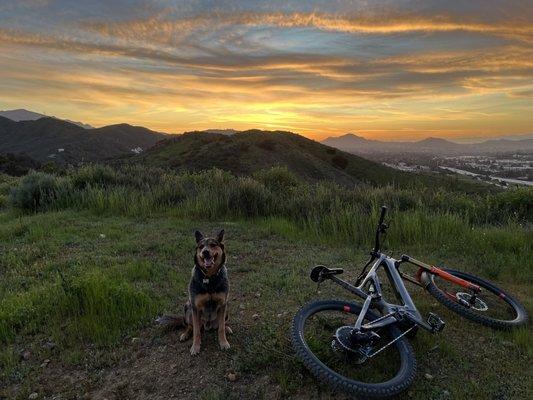 Back in the mountains with my dog and bike