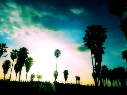 Digital Art by Todd Lytle @ Exteriorbox
 Photo taken in Venice Beach, CA