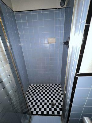 Adorable walk-in shower with good shower head and good water pressure