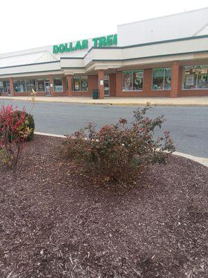 Dollar Tree