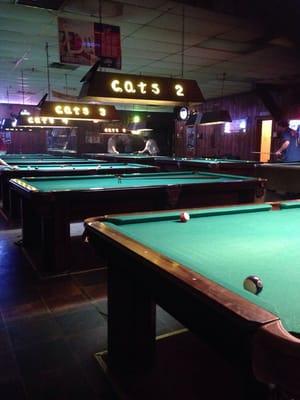 Cat's Billards