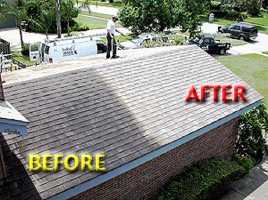 Tampa Roof Cleaning Shingle Roof