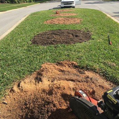 Low-Cost Stump Grinding