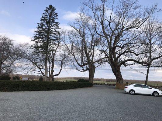 Large parking lot and fields beyond