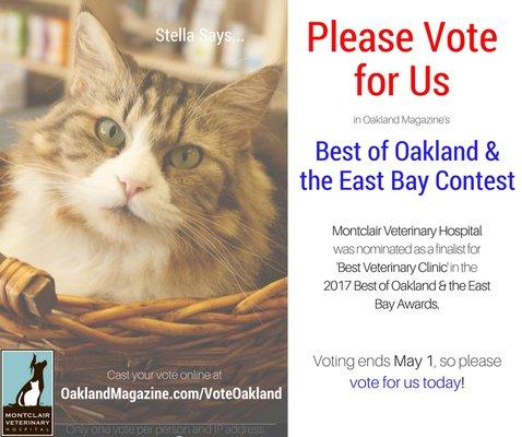 We are a finalist because of you! Let's win this together. Stella Says: Vote for us at www.OaklandMagazine.com/VoteOakland