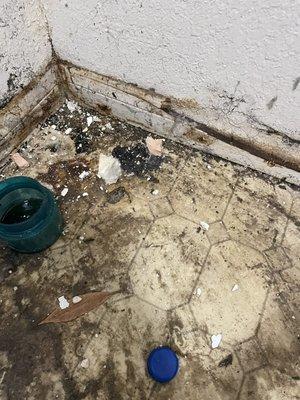 Mold clean up