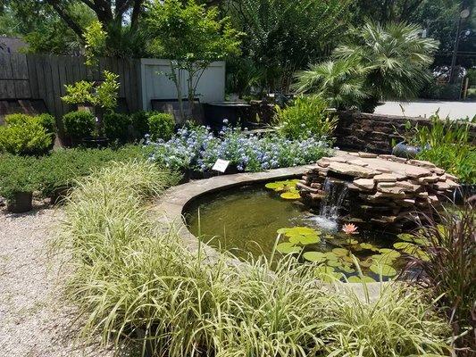 Water Garden and Plant Inventory