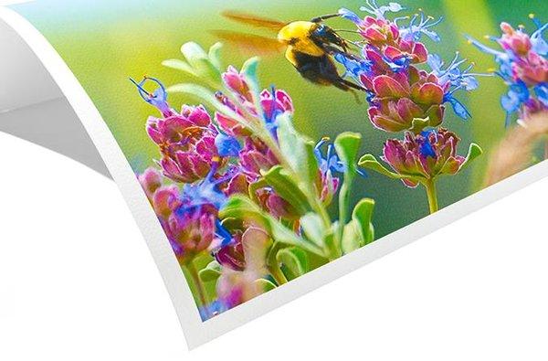 Fine art cotton paper printing.  Luxurious fine art effect.