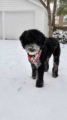 Personalized bandana