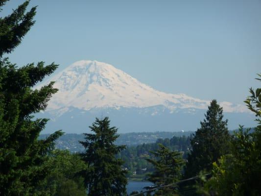 view from cattery