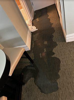 Flooding in room