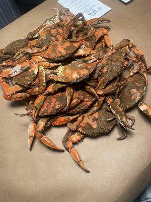 X-Large Crabs