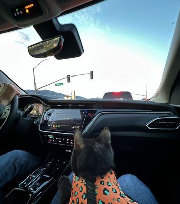 Co-pilot