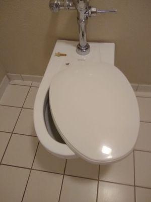 The broken toilet seat in the 1st room that smelled like strong urine.