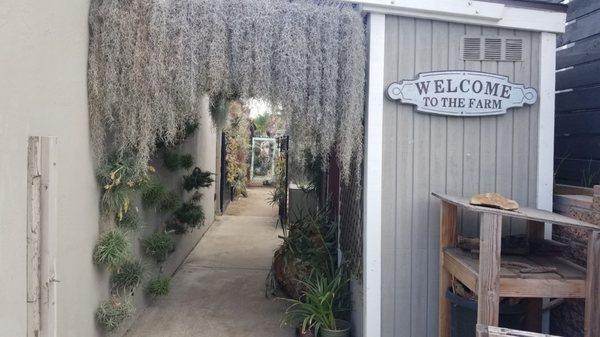 Entry way.  Those plants are for sell too.