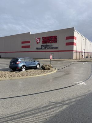 Tractor Supply Company