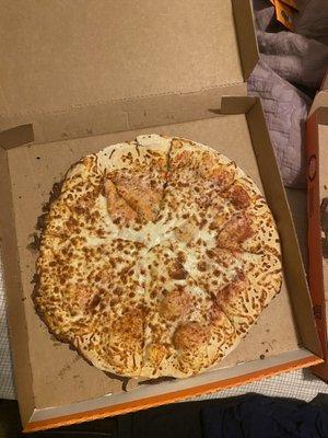 The pizza that we received.