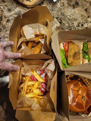 Texas Burger,cutlet sub, mozzarella sticks and side of fries