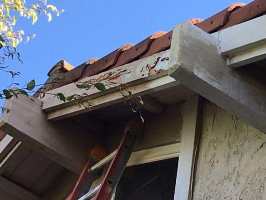 The three large structural cross beams emerging from the roof are substantially damaged and a longer-term threat to the roof