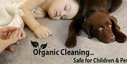 Baby and pet safe products is a must, again we use steam a " zero residue " no shampoos or chemicals left behind.