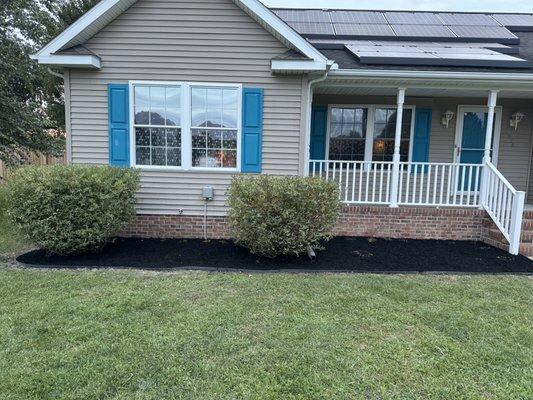 After picture of trimmed shrubs and plants with fresh new black mulch