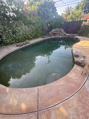 Algae green pool