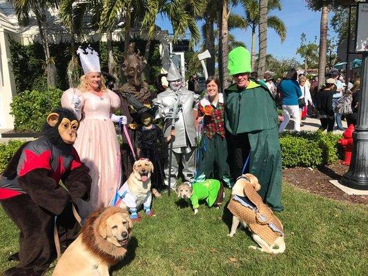 3rd Ave Pet Parade. The Big Cypress Animal Clinic crew won "Judges Whim" for their group costume portraying The Wizard of Oz!