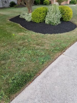 Landscaping