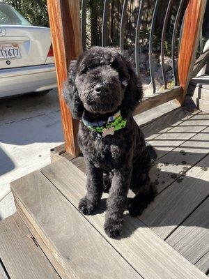 After his haircut! So handsome