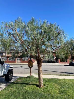 Larry's Tree Service