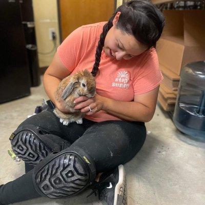 Bunny gets a nail trim