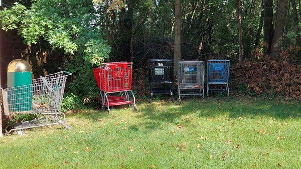 Abandoned Shopping Cars add to the romantic experience of the hotel.