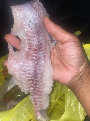 Fillet catfish