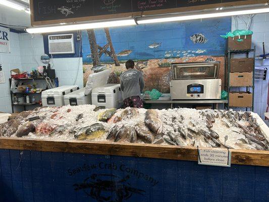 Display of fresh fish