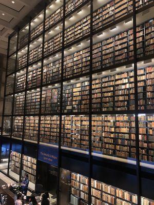 Wall of books