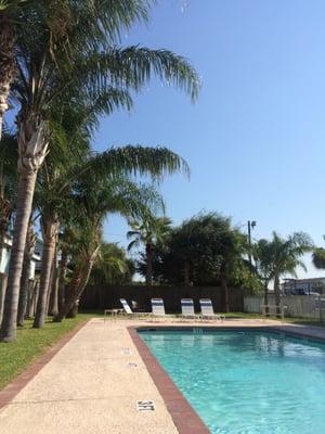 Tarpon Inn Poolside relaxing under the Port A palm trees