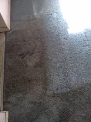 Carpet cleaning in Mundelein, IL