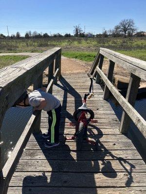 Walking path bridge over pond