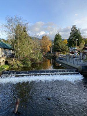 Issaquah Salmon Hatchery - Temporarily closed